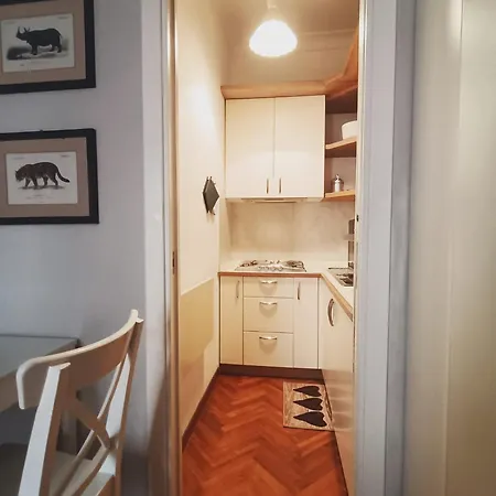 Daire Colosseo Elegant